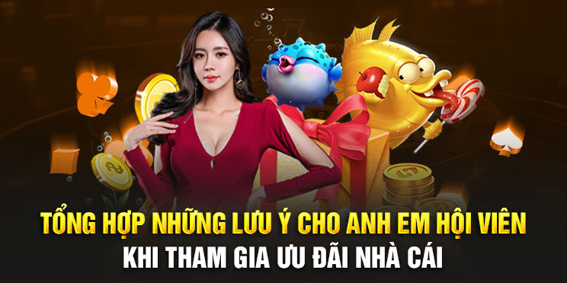 Tổng hợp những lưu ý cho anh em hội viên khi tham gia ưu đãi nhà cái